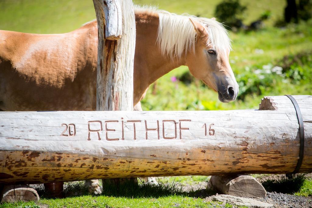 Almhof-Reithof Pitztal Sankt Leonhard im Pitztal Exterior foto